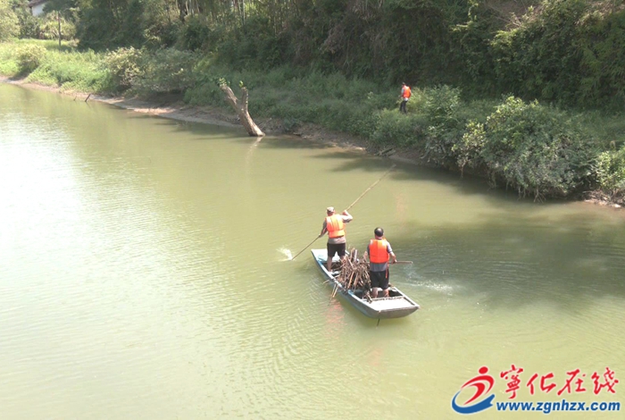 寧化湖村鎮：清理河道垃圾 改善水域環境