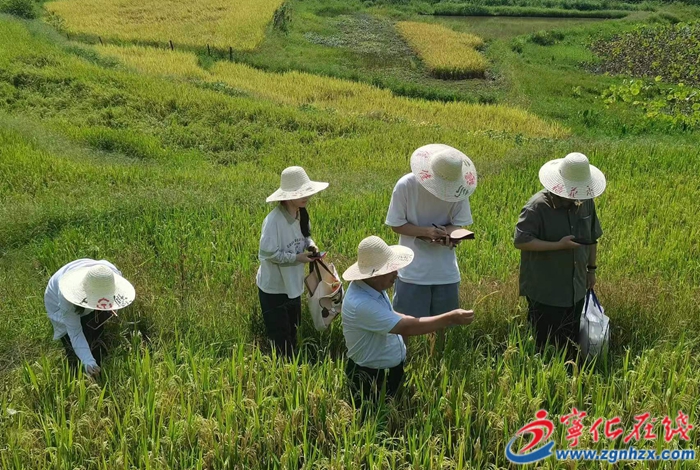 河龍鄉(xiāng)：聚人才力量，促產(chǎn)業(yè)振興