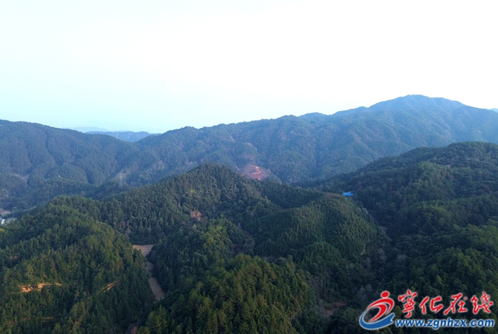 寧化：場村共建  育材興林