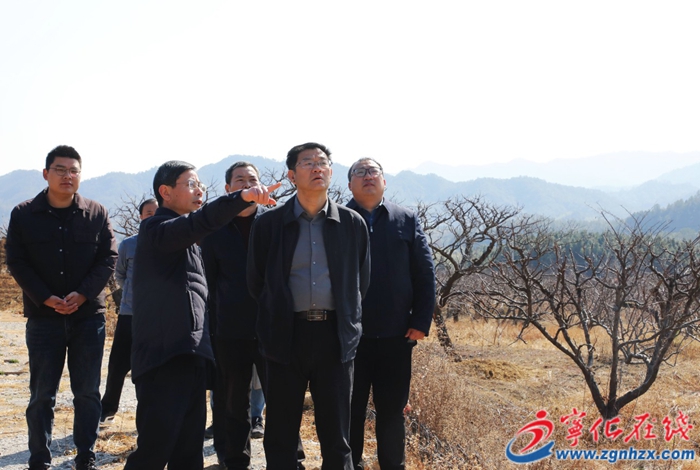 寧化縣領導到泉上鎮調研