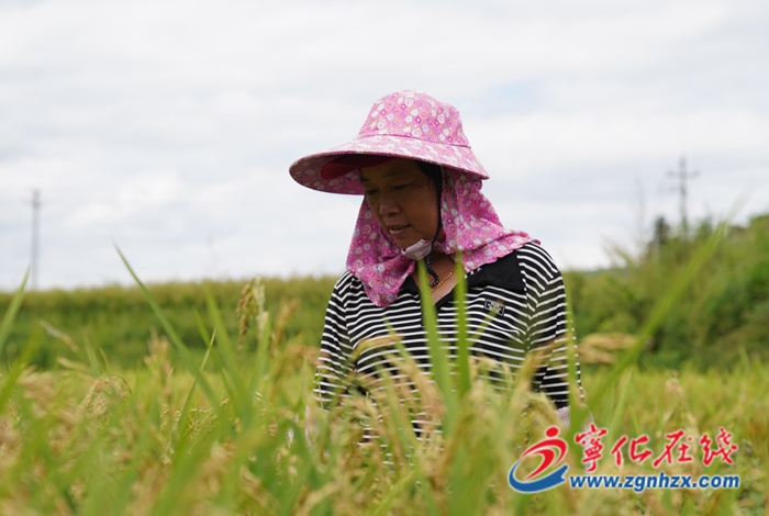 國慶我在崗：寧化勞動(dòng)者用堅(jiān)守繪就節(jié)日最美風(fēng)景