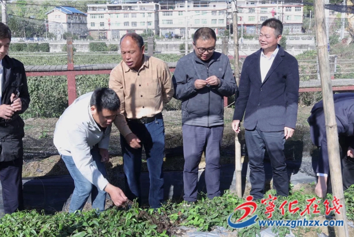 水茜鎮(zhèn)水茜村：“科技村落”通過驗收 科技賦能鄉(xiāng)村振興