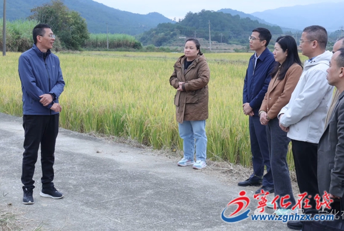 寧化：牡蠣殼“跨界”當肥料 讓千畝酸土變沃土