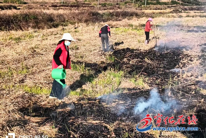 中沙鄉：筑牢森林防火屏障