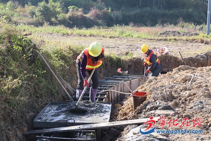 “糧田”變“良田”石壁鎮高標準農田項目加速建設