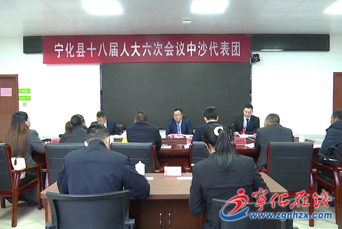 寧化縣人大代表分組審議各項工作報告