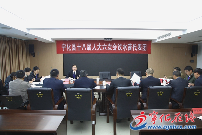 寧化縣人大代表分組審議各項工作報告