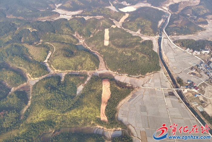 寧化：“林電共建”守護綠水青山