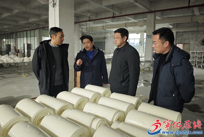 市領導來寧化調研節后復工復產情況