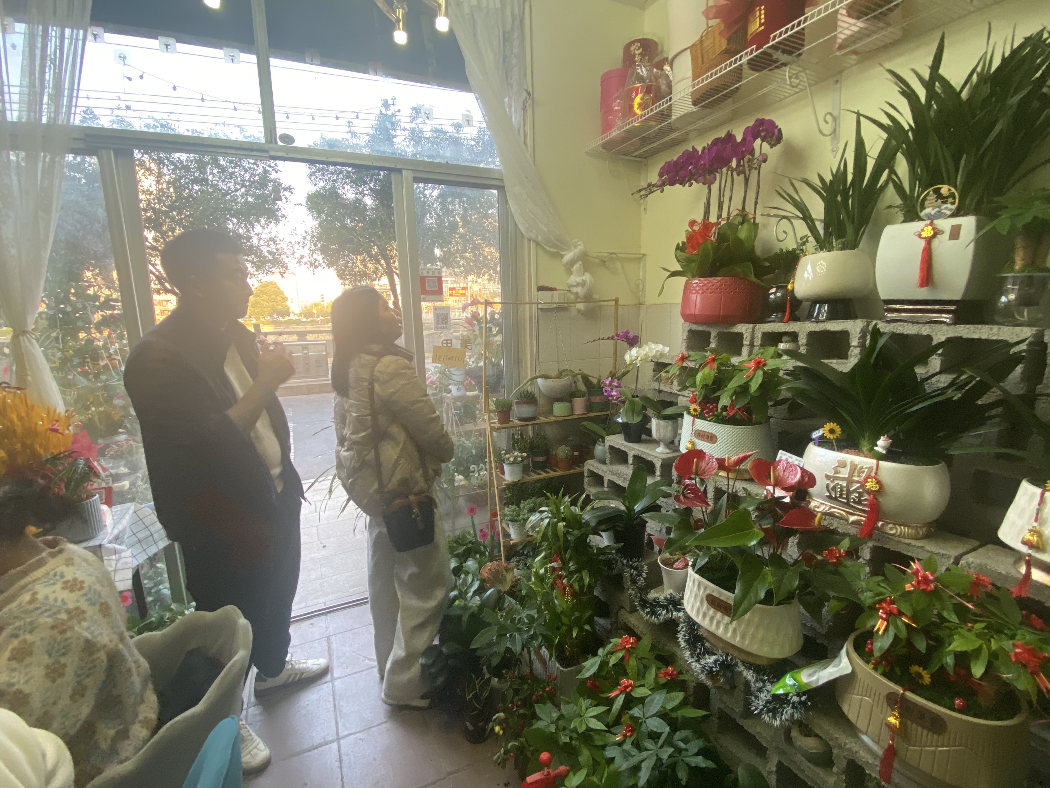 寧化年宵花市場(chǎng)火熱 客家年味“花”樣濃