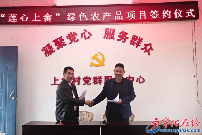 城郊鎮上畬村：舉行百畝蓮子種植項目簽約儀式