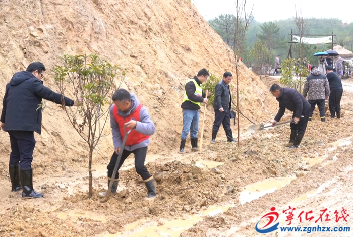 淮土鎮(zhèn)：義務植樹添新綠 踐行生態(tài)展擔當