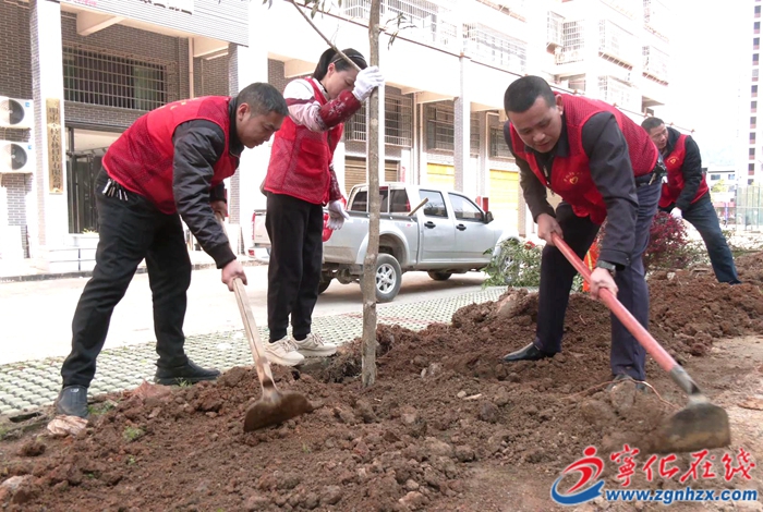 寧化積極開展植樹活動(dòng)