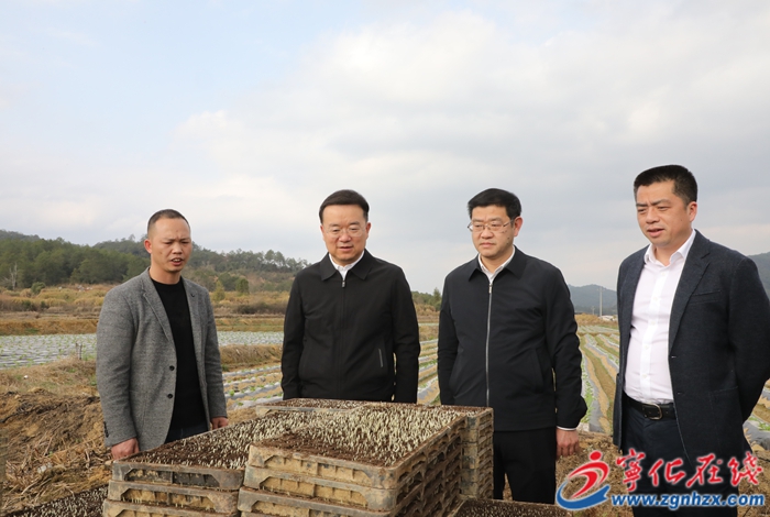 省領(lǐng)導(dǎo)來(lái)寧調(diào)研掛鉤幫扶工作