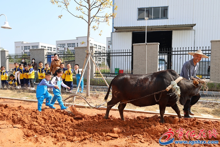 寧化縣積極開展春日特色活動(dòng)