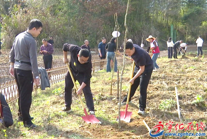湖村鎮(zhèn)：開展“我在蛟湖有棵樹”主題植樹活動