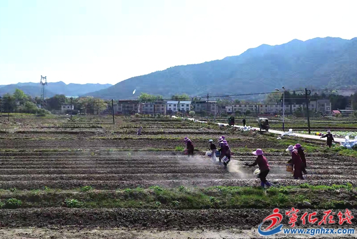 湖村鎮(zhèn)：播撒土壤調理劑 助力農(nóng)業(yè)綠色發(fā)展