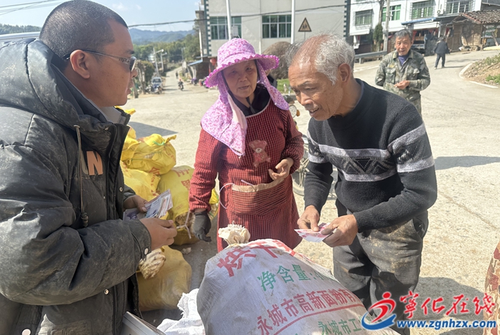 寧化縣安遠鎮：林下經濟結碩果 春筍滿山助農增收
