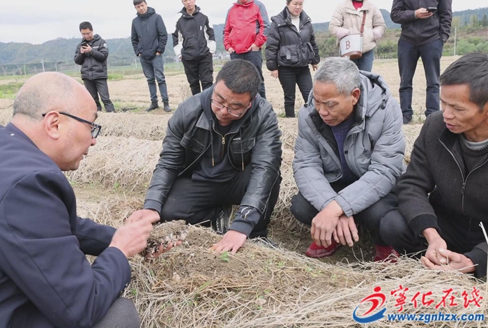 湖村鎮舉辦2025年度農村黨員春季培訓示范班