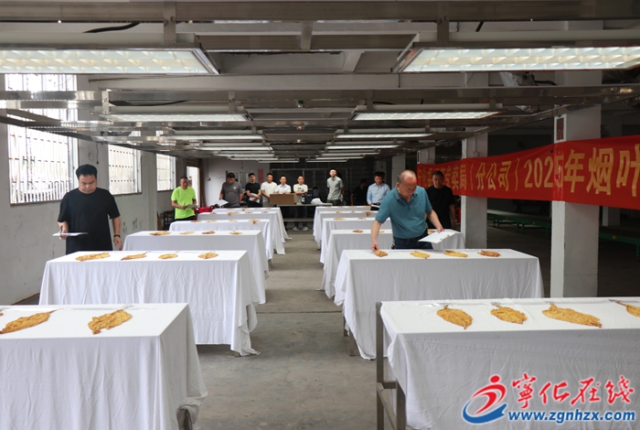 寧化縣舉辦煙葉技能競賽 助力鄉村振興人才建設