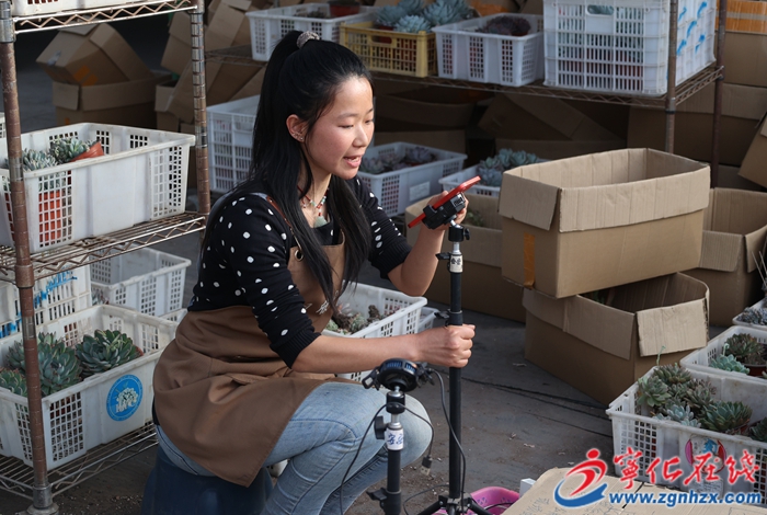 安樂鎮：一盆多肉，多彩生活