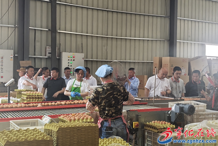 水茜鎮(zhèn)以研學(xué)實(shí)踐譜寫產(chǎn)旅聯(lián)動(dòng)新篇章