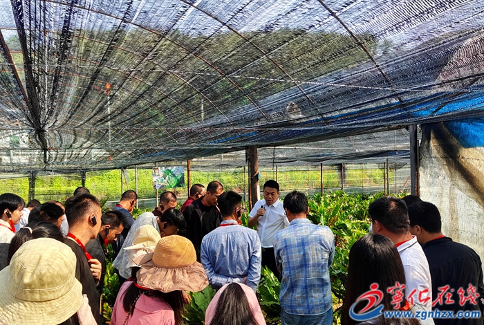 江西石城縣兩個培訓班在寧化舉辦