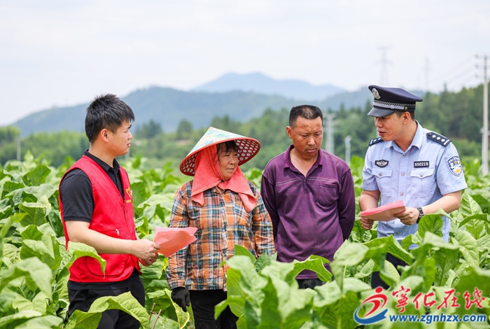 湖村鎮(zhèn)：筑牢交通安全防線，守護(hù)群眾出行平安