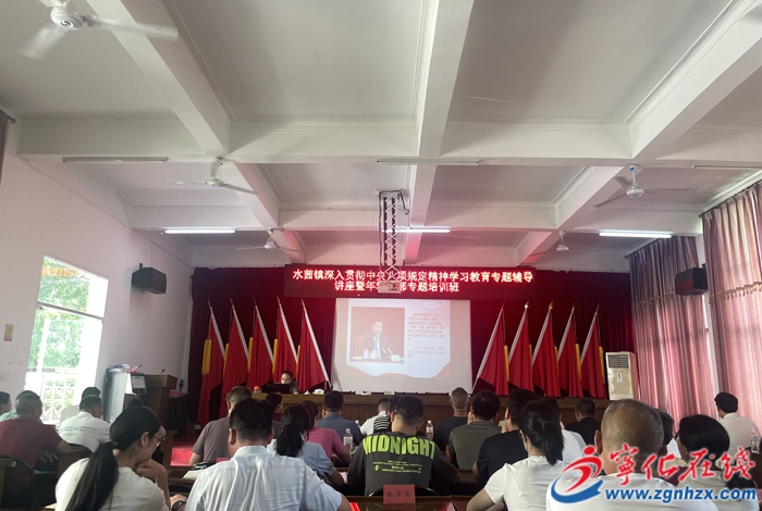 水茜鎮舉辦深入貫徹中央八項規定精神學習教育專題輔導講座暨年輕干部專題培訓班