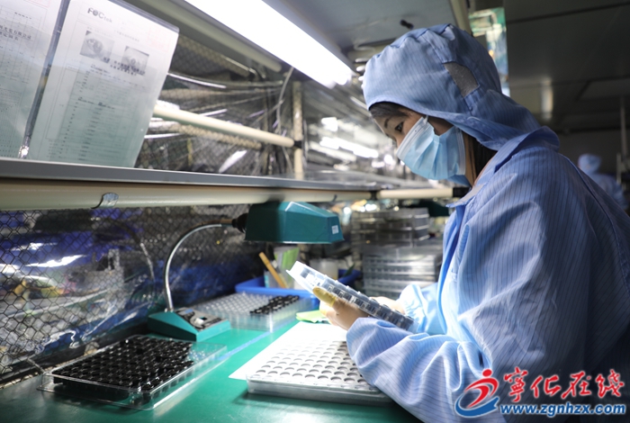 寧化：技改創(chuàng)新 光電產(chǎn)業(yè)優(yōu)化升級(jí)