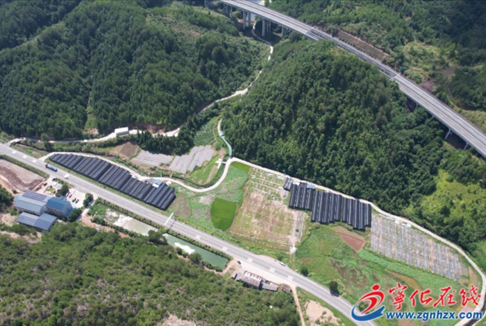 淮土鎮(zhèn):加快推進(jìn)閩臺(tái)農(nóng)業(yè)融合發(fā)展示范園建設(shè)