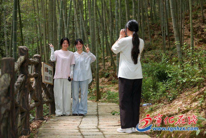 安樂鎮：創新建設“百竹園” 積極打造“筍竹小鎮”