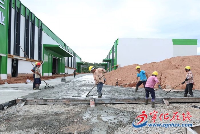 種業(yè)“芯片”加速培育 寧化推動(dòng)制種全產(chǎn)業(yè)鏈升級(jí)