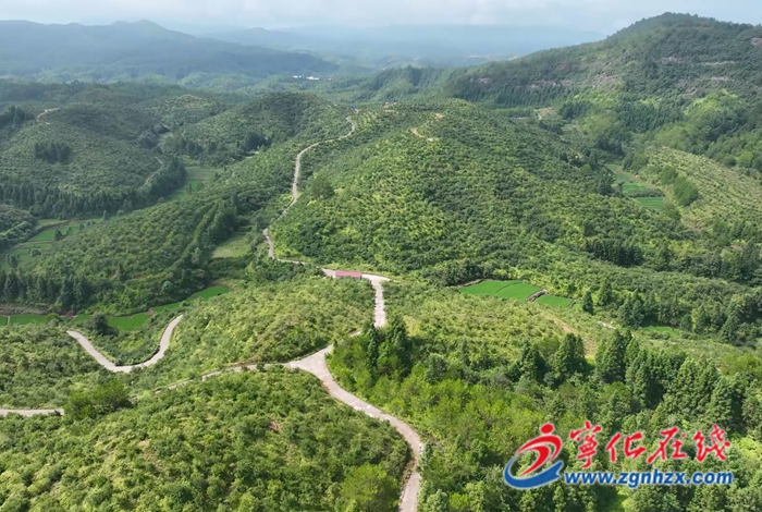 寧化：荒山綠化的水土保持生態“答卷”