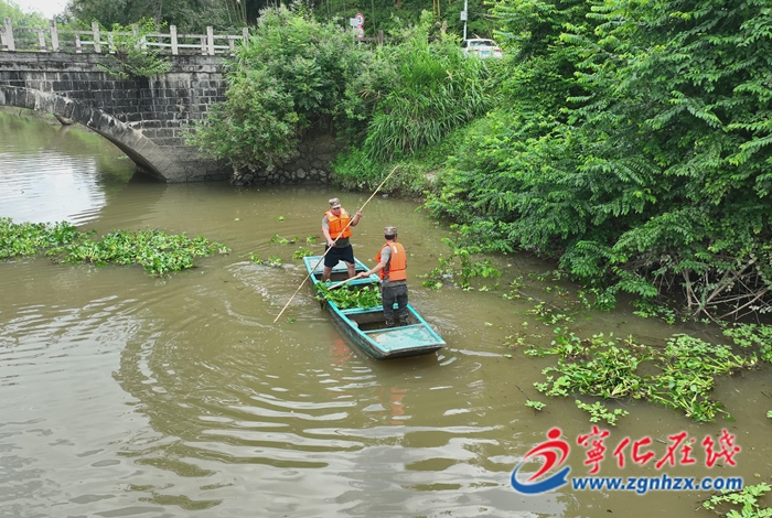 湖村鎮：扎實推進“河長制”?全力促進“河長治”