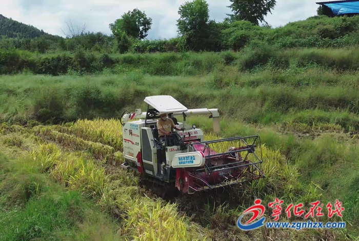 習(xí)近平總書(shū)記給福建農(nóng)林大學(xué)全體師生的回信在寧化引發(fā)熱烈反響