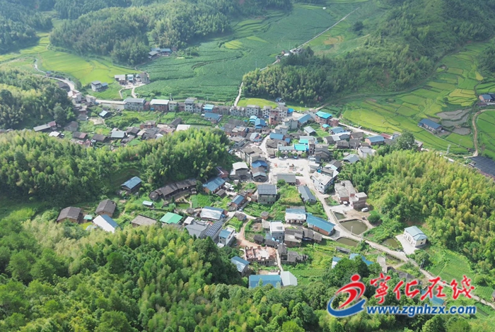方田鄉：竹蓀產業“破土”生金