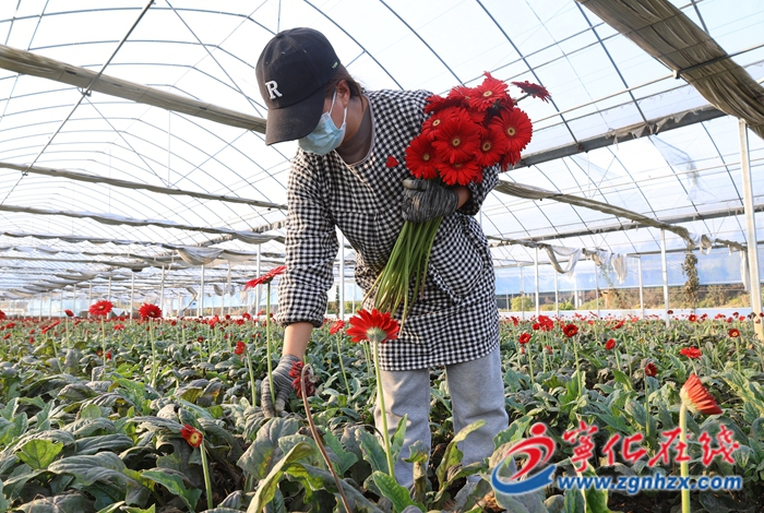 寧化：寒冬里的“美麗經(jīng)濟(jì)”