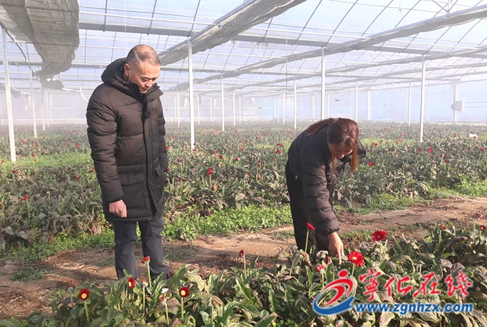 城郊鎮：農技護航 防寒保產