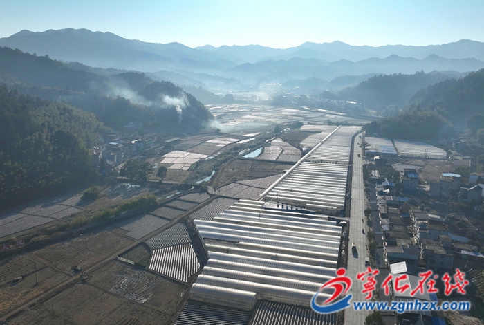 安樂鎮：農技指導 助力多肉越冬