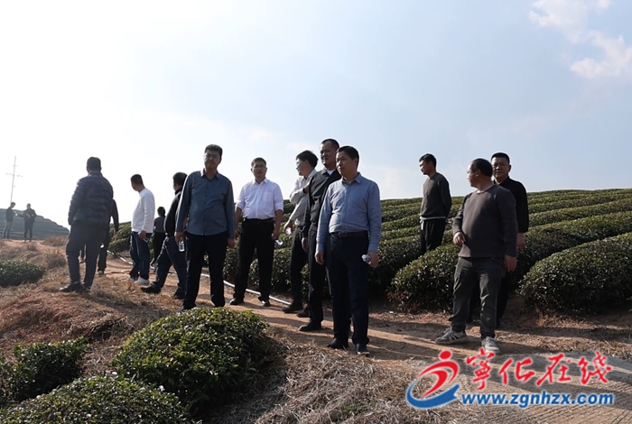 新疆瑪納斯縣農業農村局來寧化開展農業資源專題調研