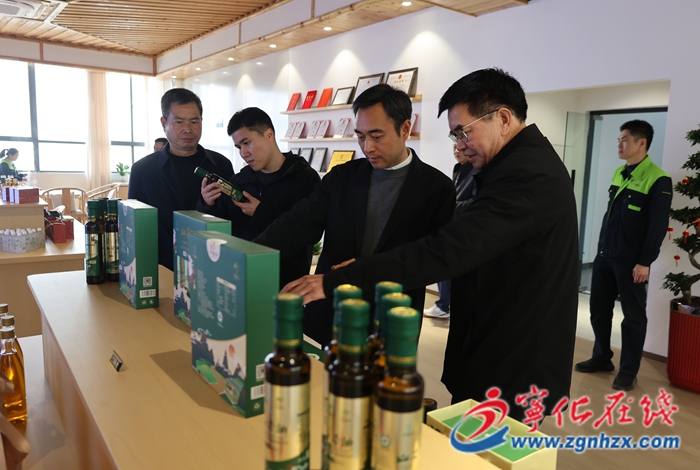 市領導來寧化調研及督導安全生產工作