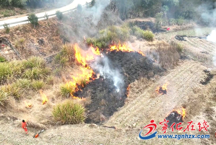 湖村鎮：開展林緣田邊可燃物“計劃燒除”作業