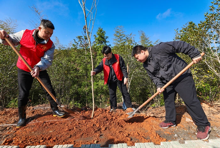 寧化各界開展植樹節活動