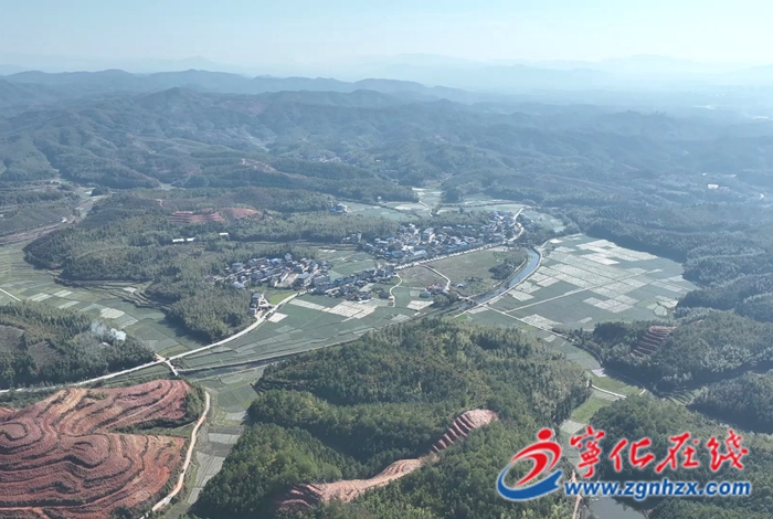 濟村鄉：“聯營山”再添新綠 破解“小散差”難題