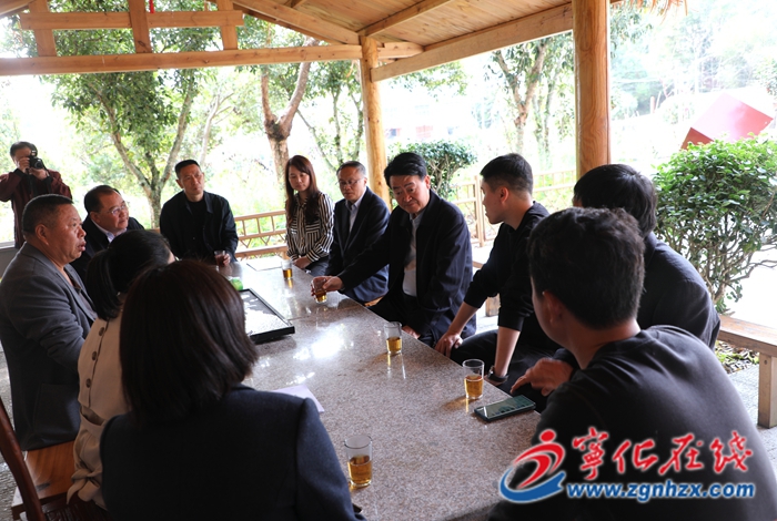 省鄉村振興促進會調研組來寧化調研