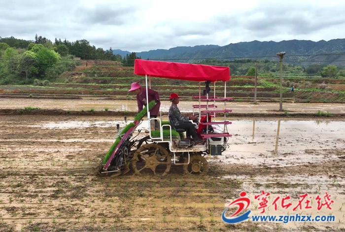 寧化：農技下沉助春耕 機械種糧保豐收