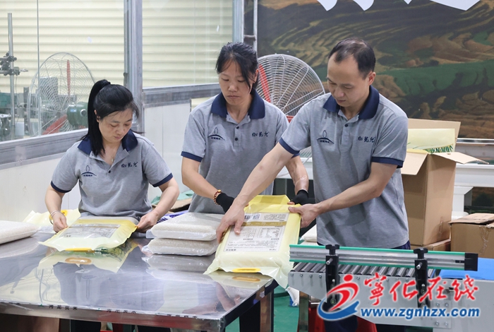 寧化：搶時趕產沖二季 特色農業勢頭勁