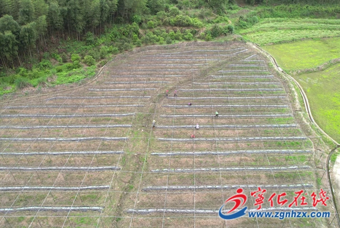 濟(jì)村鄉(xiāng)：蘋果絲瓜種出鄉(xiāng)村振興“好錢景”