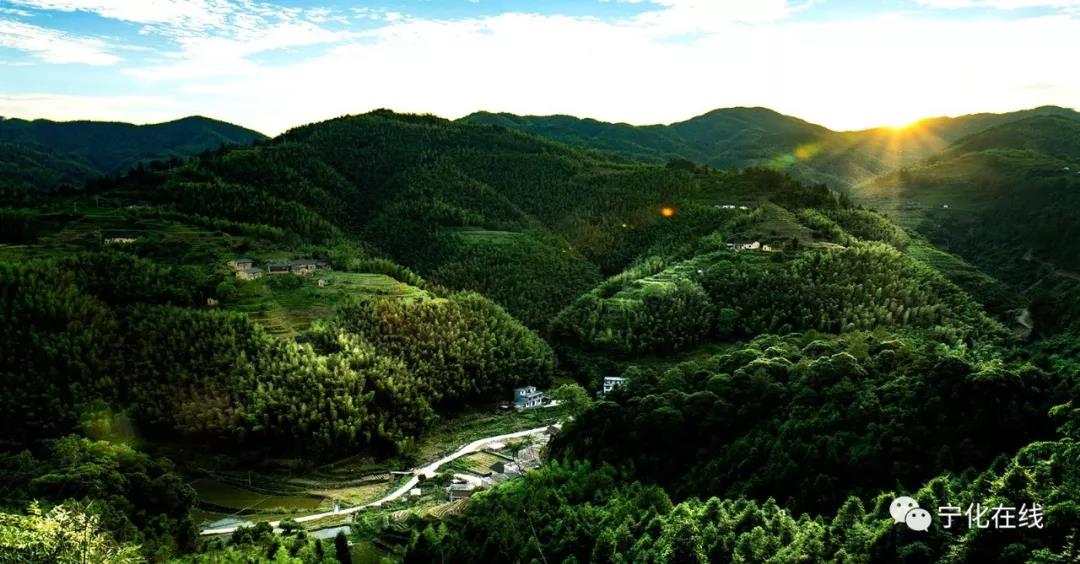 百余張治平美圖來襲，這場攝影賽獲獎作品張張精彩！